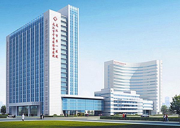 武漢市第一醫院